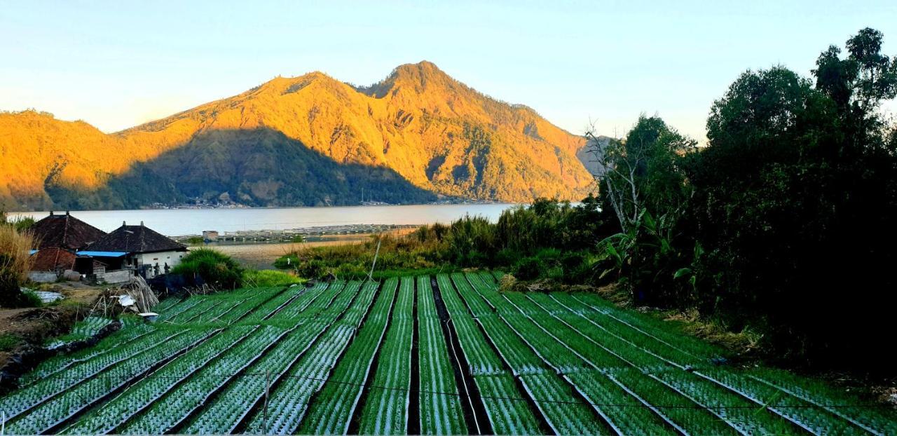 Volcano Lake View Kintamani  Exterior photo